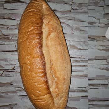 Bayat Ekmek Ve Saygısız Hizmet Sorunu