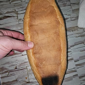 Bayat Ekmek Ve Saygısız Hizmet Sorunu