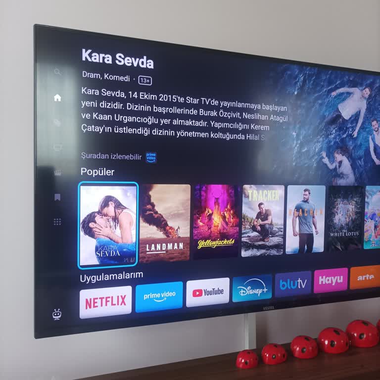 Tivo Arayüzü Ve TV Performansı Sorunları