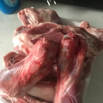 Gimat Gross Şikayetçiyim