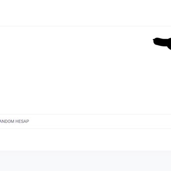 Teslimat Ve Destek Sorunları