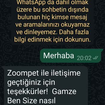 Zoompet'ten Alınan Kedi Maması Teslim Edilmedi