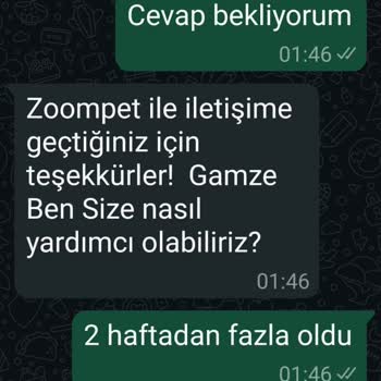 Zoompet'ten Alınan Kedi Maması Teslim Edilmedi