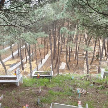 Bebek Mezarlıklarında Toprak Kayması Tehlikesi