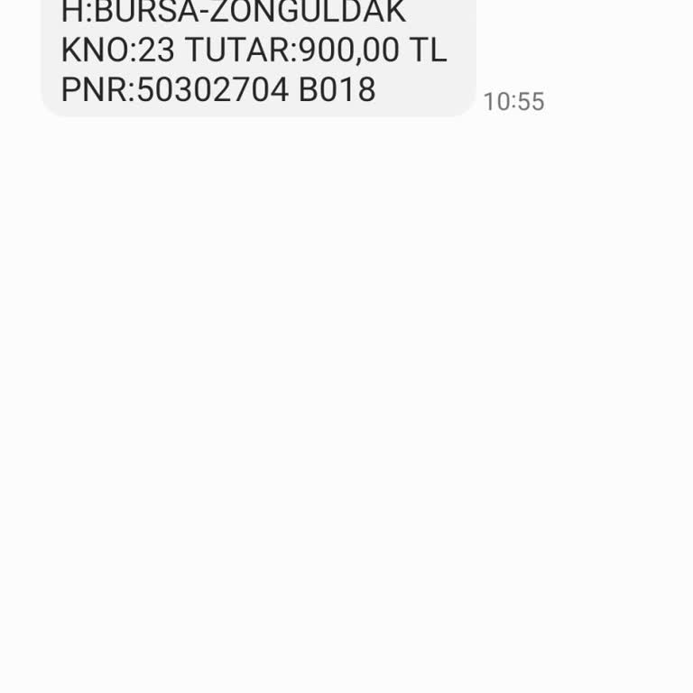Efetur İle Bursa-Zonguldak Yolculuğunda Zaman Kaybı Ve Aksaklıklar