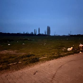 Belediyenin Çöp Sorununa Acil Çözüm Bulması Gerekiyor