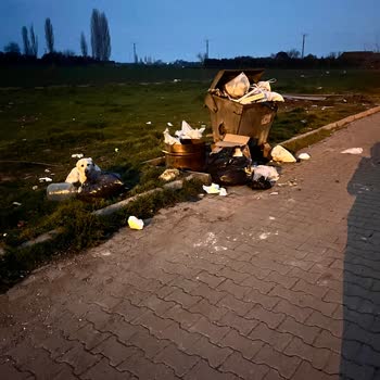 Belediyenin Çöp Sorununa Acil Çözüm Bulması Gerekiyor