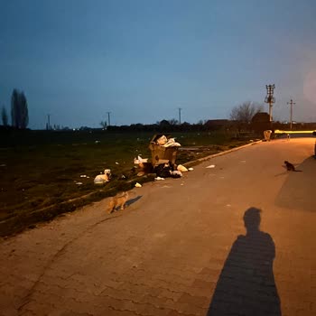 Belediyenin Çöp Sorununa Acil Çözüm Bulması Gerekiyor