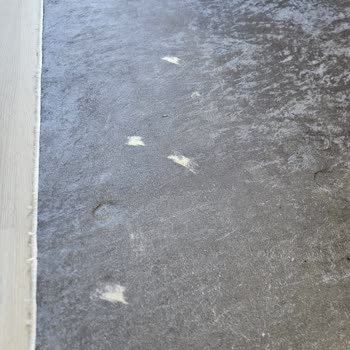 Tefal Robot Süpürge: Sürekli Sorun Ve Hayal Kırıklığı