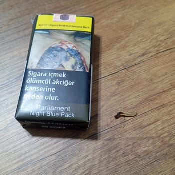 Parliament Sigarada Sürekli Odun Parçası Çıkması