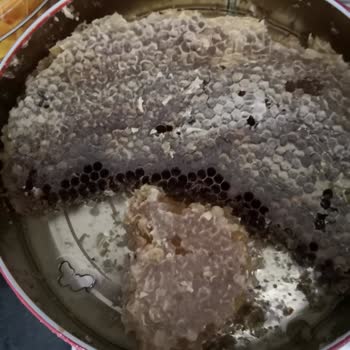 Hizan Organik Gelen Ürün Katışık Ve Eksik Geldi