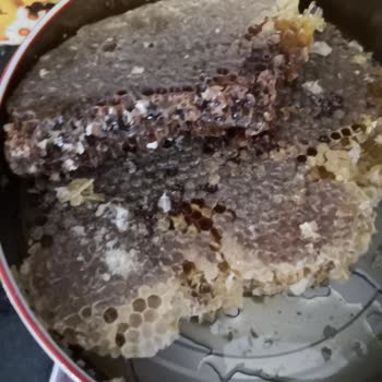 Hizan Organik Gelen Ürün Katışık Ve Eksik Geldi