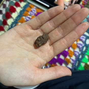 Biscolata Mood'da Beklenmedik Hamur Karışımı