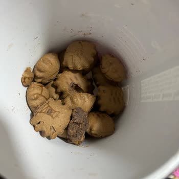 Biscolata Mood'da Beklenmedik Hamur Karışımı