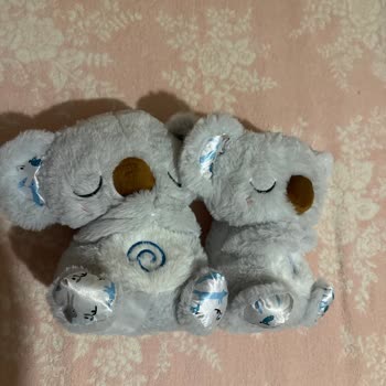 Yanlış Gönderilen Peluş Oyuncaklar Ve İade Sorunu