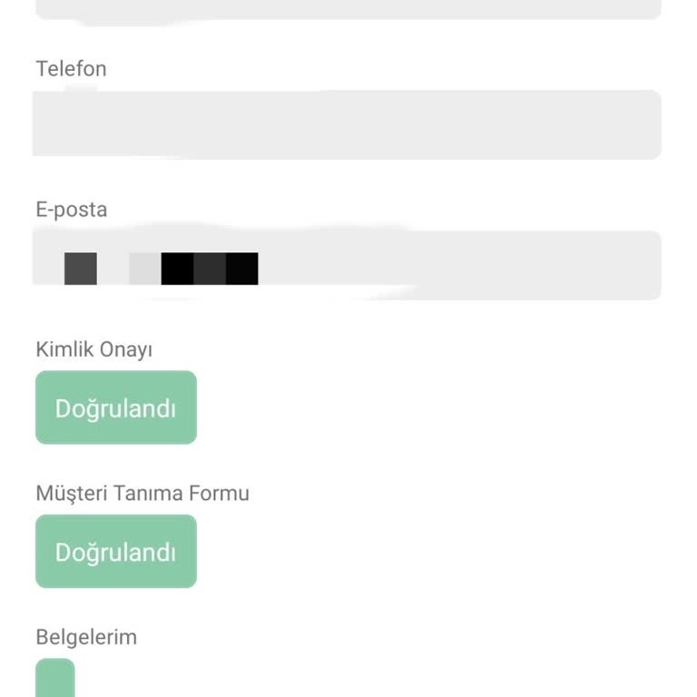 Bitçi Borsasında Hesap Doğrulama Sorunu Ve Para Çekme Engeli