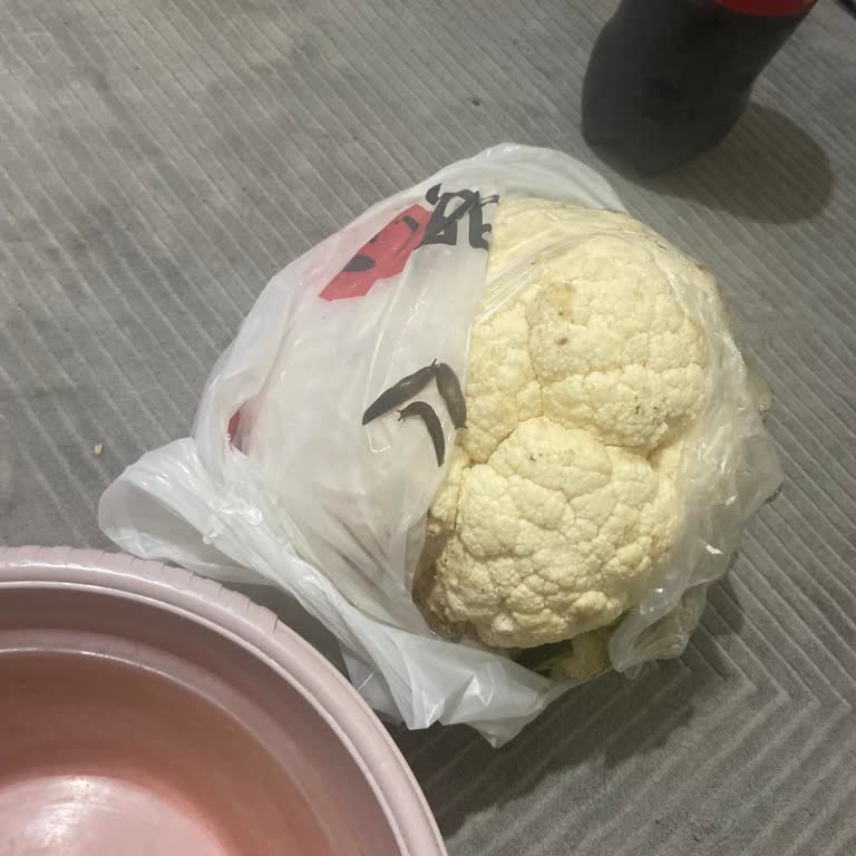 Karnabaharda Sağlık Tehlikesi: Böcek Problemi