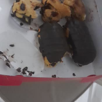 Ekleristan'da Tadını Kaçıran Deneyim