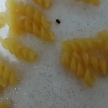 Nuh'un Ankara Makarnası Son Tüketim Tarihi Geçmemiş Üründe Böcek Şoku