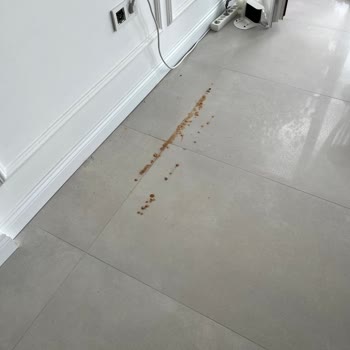 Mobilya Kurtlanması Ve Yetersiz Müşteri Hizmeti
