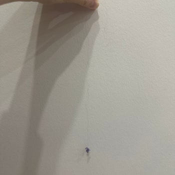 Ebegümeci Otunda İstenmeyen Sürpriz