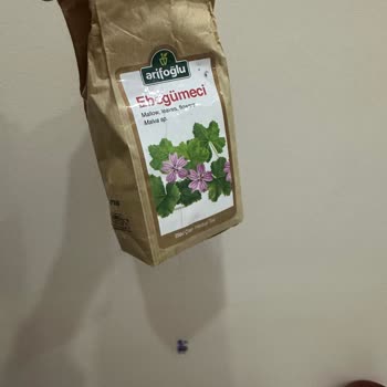 Ebegümeci Otunda İstenmeyen Sürpriz