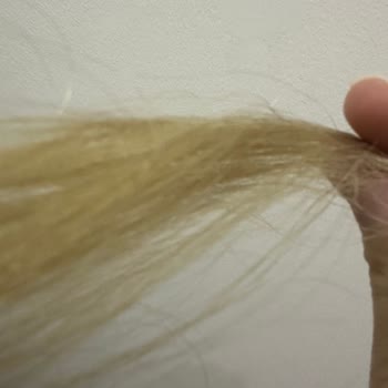 Ebegümeci Otunda İstenmeyen Sürpriz