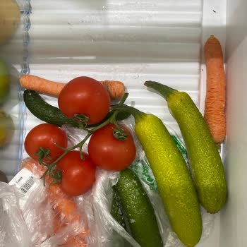 Bosch Buzdolabı Sorunu: Çözüm Beklerken Oyalama