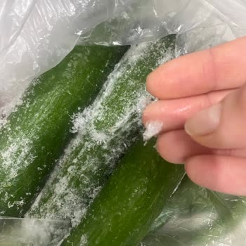 Bosch Buzdolabı Sorunu: Çözüm Beklerken Oyalama