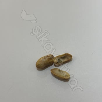 Küflü Ve Acı Fıstık: Sağlık Tehlikesi Ve İlgisiz Satıcı