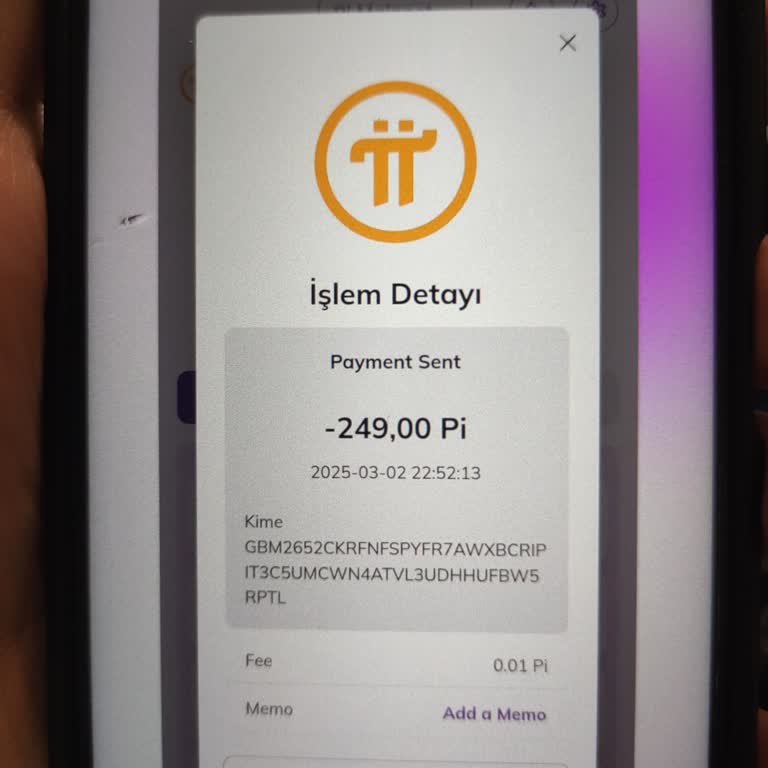 Pi Network'te Kayıp: Güvenlik Açığı Mağduriyeti