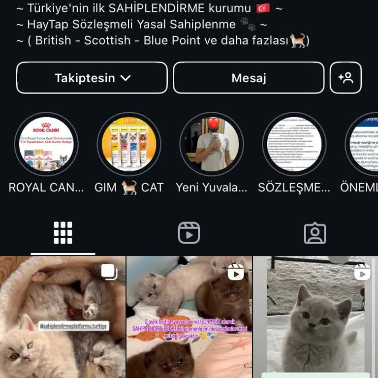 Sahiplendirmeplatformu.turkiye Yanılttı