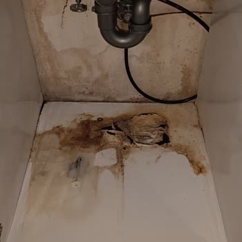 Su Arıtma Cihazının Yol Açtığı Su Baskını Ve Mutfak Hasarı