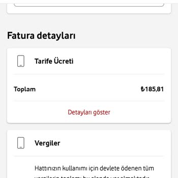 Ödenmeyen Verginin Tekrar Yansıtılması Sorunu