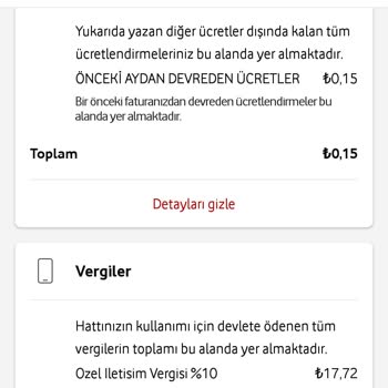 Ödenmeyen Verginin Tekrar Yansıtılması Sorunu