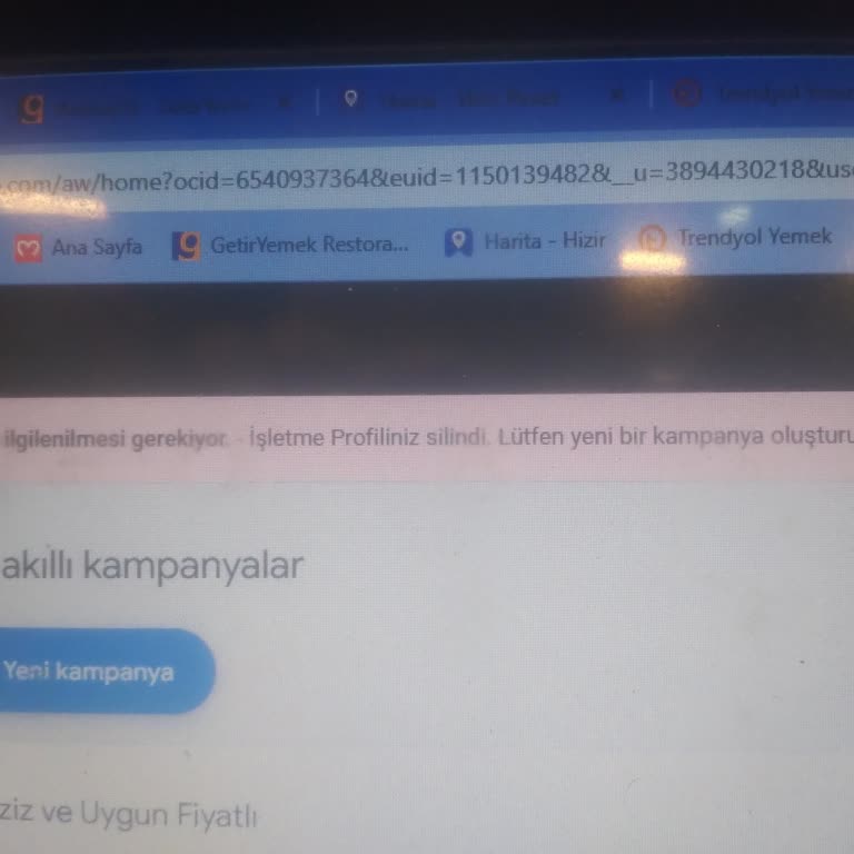 Google Ads İşletme Profilinde Sürekli Silinme Sorunu