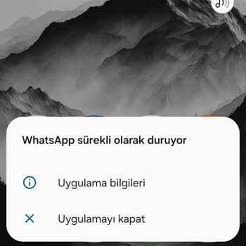 Samsung Galaxy A35'te WhatsApp Çökme Sorunu