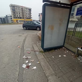 Mahalle Temizliği ve Hizmetlerdeki Eksiklikler