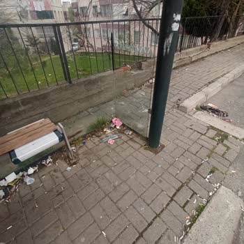 Mahalle Temizliği ve Hizmetlerdeki Eksiklikler