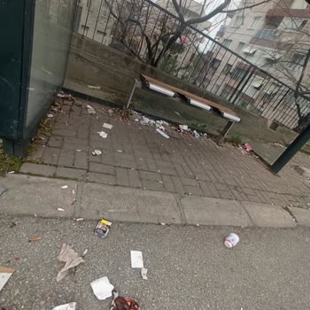 Mahalle Temizliği ve Hizmetlerdeki Eksiklikler