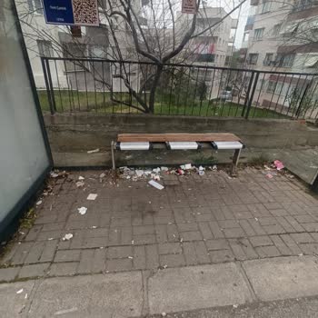 Mahalle Temizliği ve Hizmetlerdeki Eksiklikler