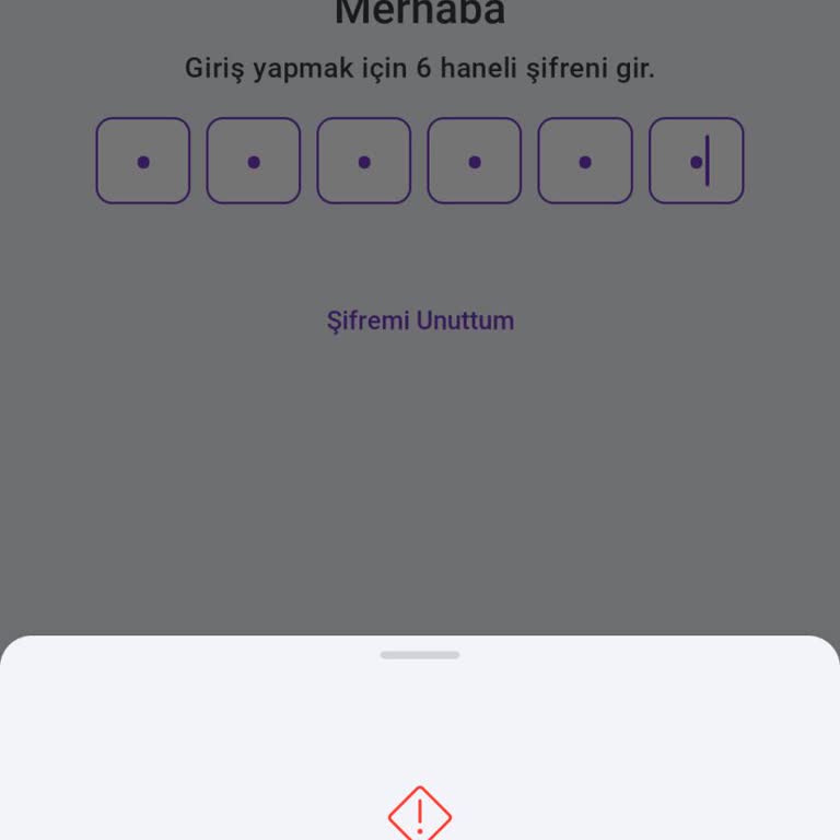 Hadi Uygulamasına Erişim Sorunu