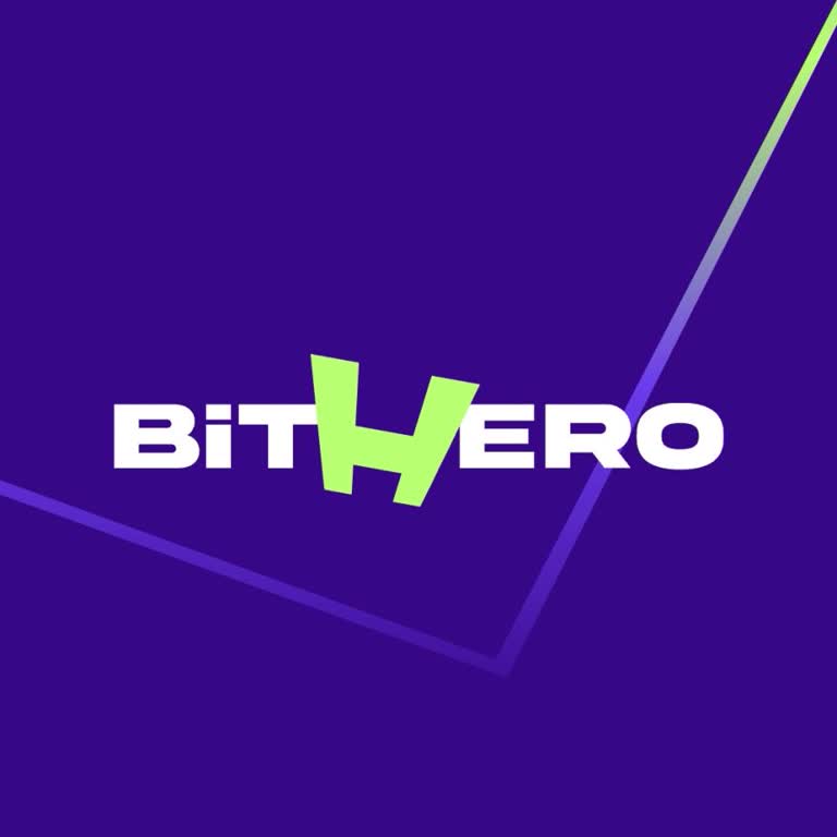 Bithero Erişim Sorunu: Yatırımlarım Tehlikede Mi?