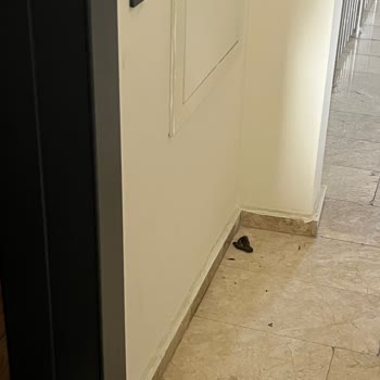 Silivri TOKİ 1. Etap'ta Temizlik Sorunu Ve Yönetim İhmali