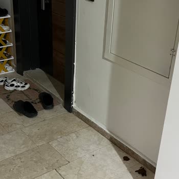 Silivri TOKİ 1. Etap'ta Temizlik Sorunu Ve Yönetim İhmali