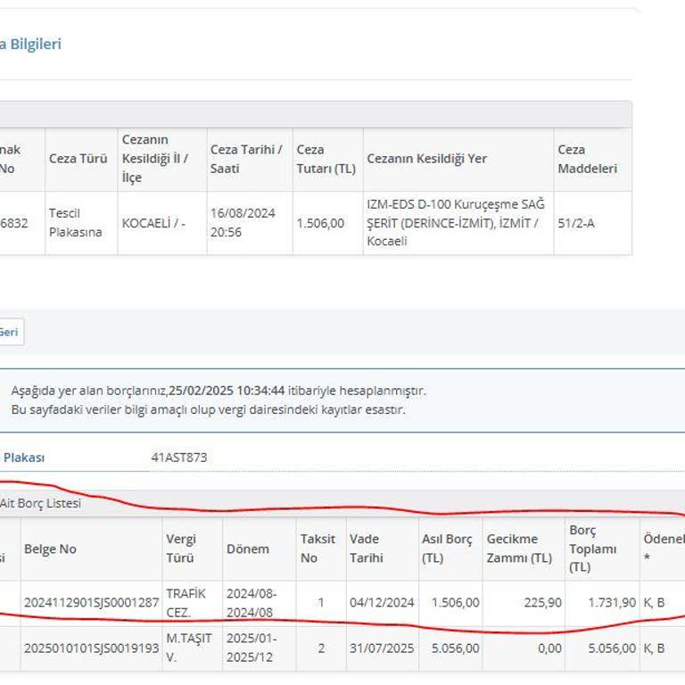 Hatalı Ceza Ödemesi Ve Çözülmeyen Sorun