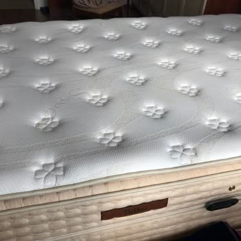 Yatakta Çökme Sorunu Ve Servis Eksikliği