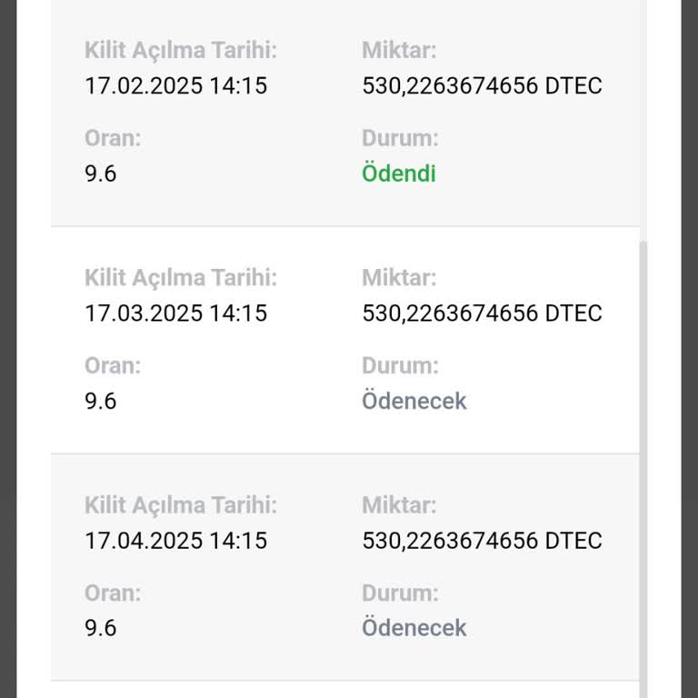 Bitci.com.tr'de Teslim Edilmeyen Dtec Coinler