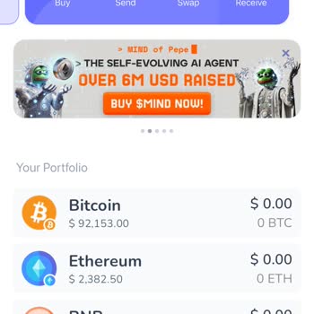 Best Wallet Lost My Funds