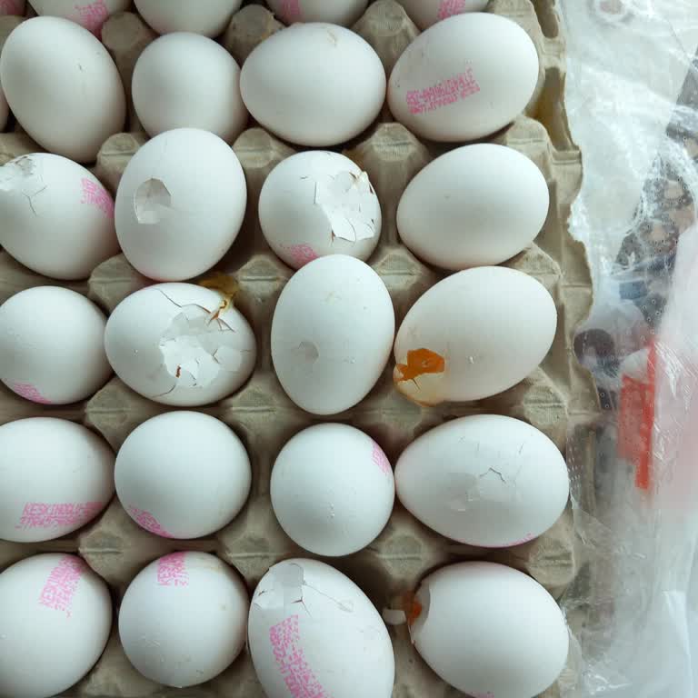 Migros Hemen Teslimat Sorunu Ve İade Talebi